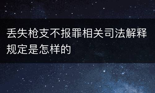 丢失枪支不报罪相关司法解释规定是怎样的