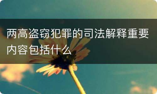 两高盗窃犯罪的司法解释重要内容包括什么