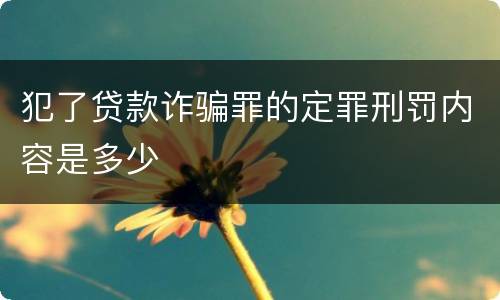 犯了贷款诈骗罪的定罪刑罚内容是多少