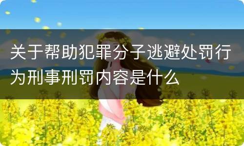 关于帮助犯罪分子逃避处罚行为刑事刑罚内容是什么