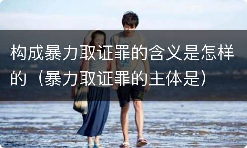 构成暴力取证罪的含义是怎样的（暴力取证罪的主体是）