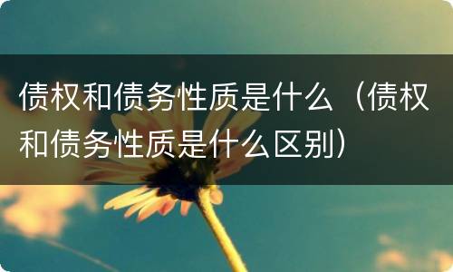 债权和债务性质是什么（债权和债务性质是什么区别）