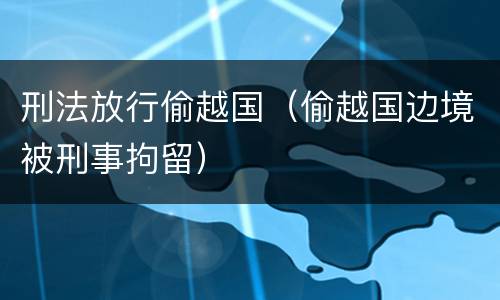 刑法放行偷越国（偷越国边境被刑事拘留）