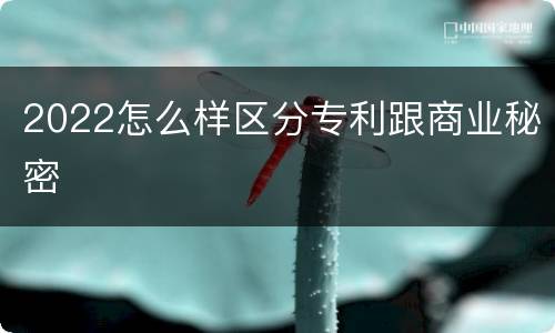 2022怎么样区分专利跟商业秘密