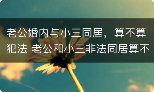 老公婚内与小三同居，算不算犯法 老公和小三非法同居算不算犯法