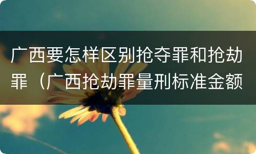 广西要怎样区别抢夺罪和抢劫罪（广西抢劫罪量刑标准金额）