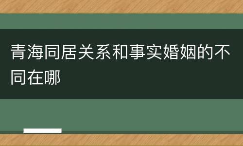 青海同居关系和事实婚姻的不同在哪
