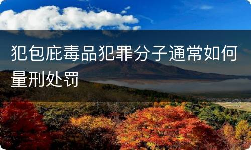 犯包庇毒品犯罪分子通常如何量刑处罚