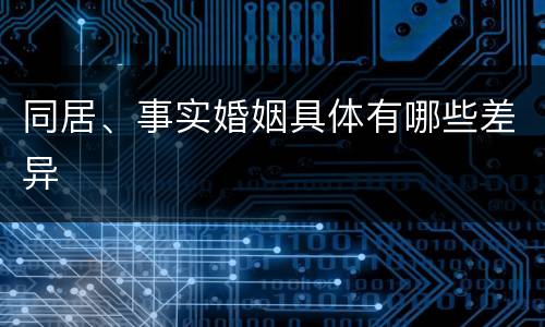 同居、事实婚姻具体有哪些差异