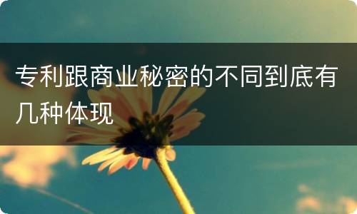 专利跟商业秘密的不同到底有几种体现