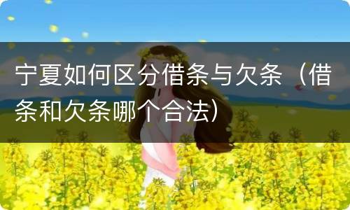 宁夏如何区分借条与欠条（借条和欠条哪个合法）