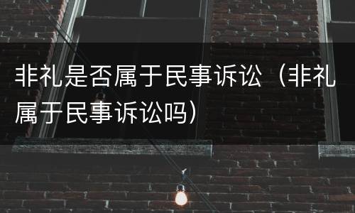 非礼是否属于民事诉讼（非礼属于民事诉讼吗）