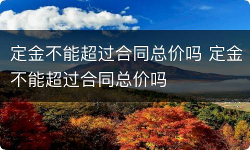 定金不能超过合同总价吗 定金不能超过合同总价吗