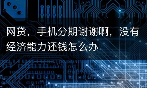 网贷，手机分期谢谢啊，没有经济能力还钱怎么办