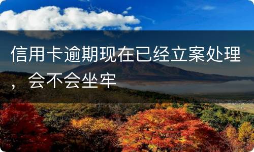 信用卡逾期现在已经立案处理，会不会坐牢