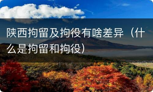 陕西拘留及拘役有啥差异（什么是拘留和拘役）