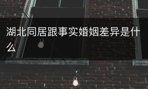 湖北同居跟事实婚姻差异是什么