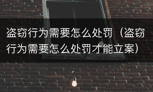 盗窃行为需要怎么处罚（盗窃行为需要怎么处罚才能立案）