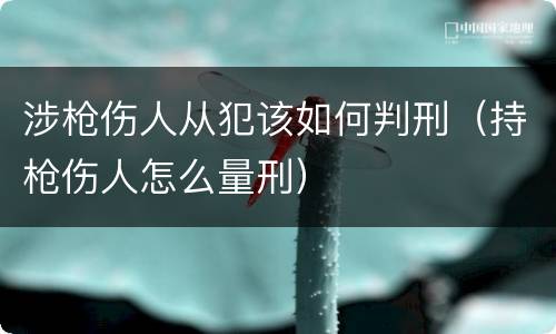 涉枪伤人从犯该如何判刑（持枪伤人怎么量刑）