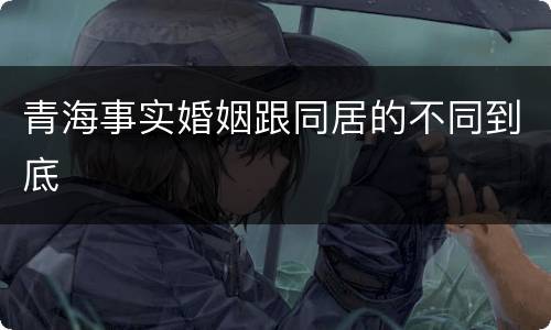 青海事实婚姻跟同居的不同到底