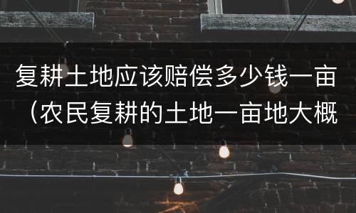 复耕土地应该赔偿多少钱一亩（农民复耕的土地一亩地大概是多少钱）