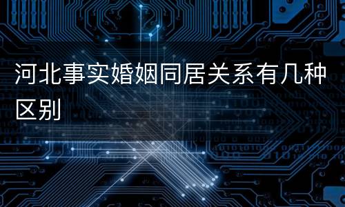河北事实婚姻同居关系有几种区别