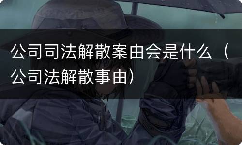 公司司法解散案由会是什么（公司法解散事由）