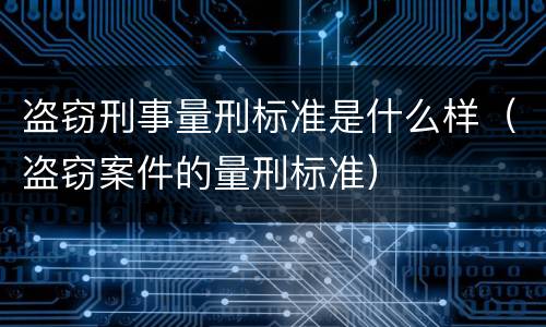 盗窃刑事量刑标准是什么样（盗窃案件的量刑标准）