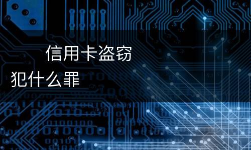 　　信用卡盗窃犯什么罪