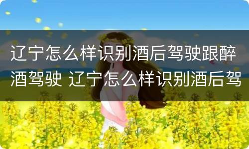 辽宁怎么样识别酒后驾驶跟醉酒驾驶 辽宁怎么样识别酒后驾驶跟醉酒驾驶的人