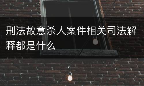 刑法故意杀人案件相关司法解释都是什么