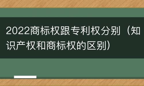 2022商标权跟专利权分别（知识产权和商标权的区别）