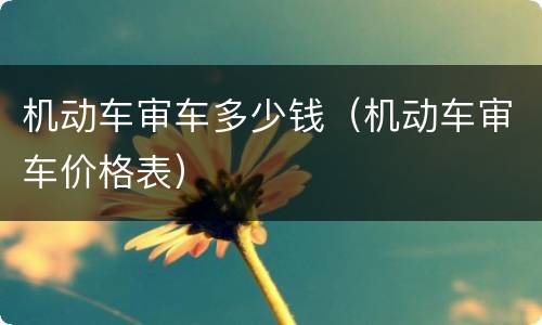 机动车审车多少钱（机动车审车价格表）