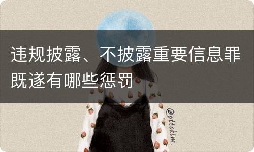 违规披露、不披露重要信息罪既遂有哪些惩罚