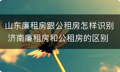 山东廉租房跟公租房怎样识别 济南廉租房和公租房的区别