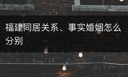 福建同居关系、事实婚姻怎么分别
