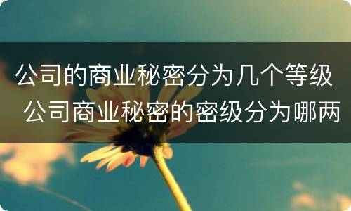 公司的商业秘密分为几个等级 公司商业秘密的密级分为哪两级