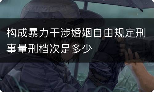 构成暴力干涉婚姻自由规定刑事量刑档次是多少