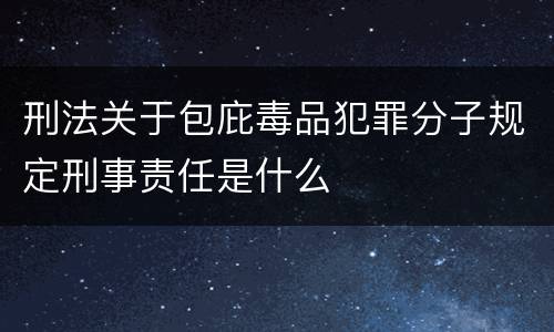 刑法关于包庇毒品犯罪分子规定刑事责任是什么