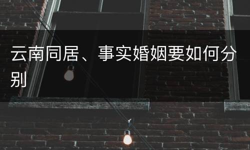 云南同居、事实婚姻要如何分别