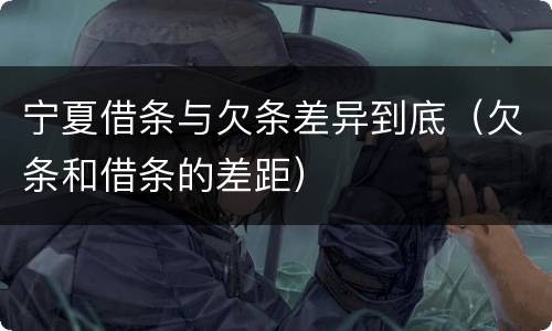 宁夏借条与欠条差异到底（欠条和借条的差距）