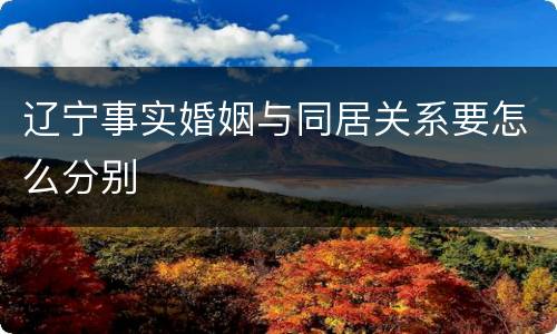 辽宁事实婚姻与同居关系要怎么分别