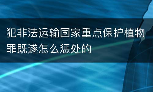 犯非法运输国家重点保护植物罪既遂怎么惩处的