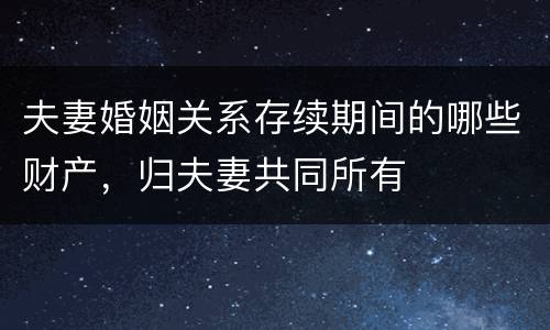 夫妻婚姻关系存续期间的哪些财产，归夫妻共同所有