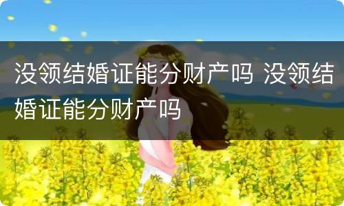 没领结婚证能分财产吗 没领结婚证能分财产吗