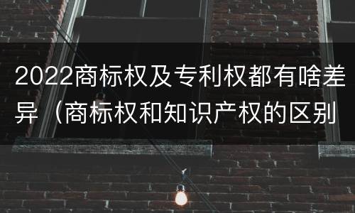 2022商标权及专利权都有啥差异（商标权和知识产权的区别）