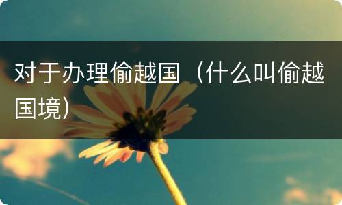 对于办理偷越国（什么叫偷越国境）