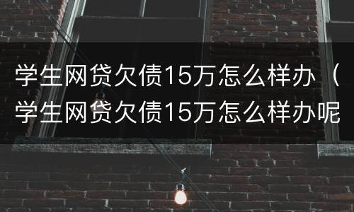 学生网贷欠债15万怎么样办（学生网贷欠债15万怎么样办呢）