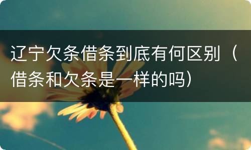 辽宁欠条借条到底有何区别（借条和欠条是一样的吗）