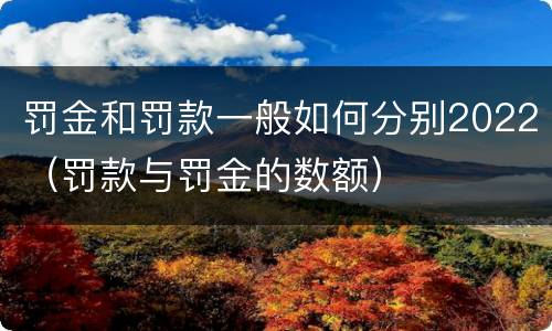 罚金和罚款一般如何分别2022（罚款与罚金的数额）